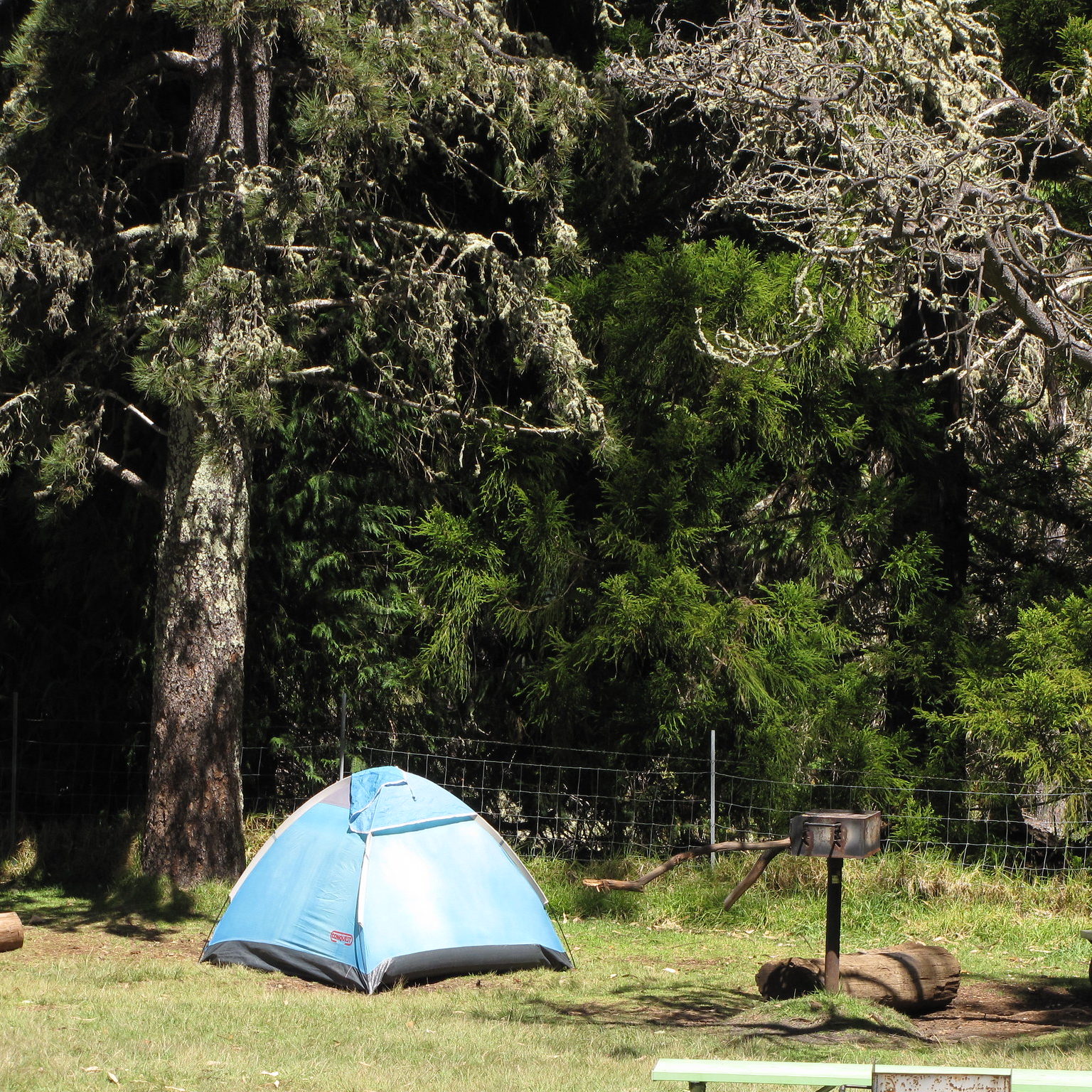 Hosmer Grove Camping