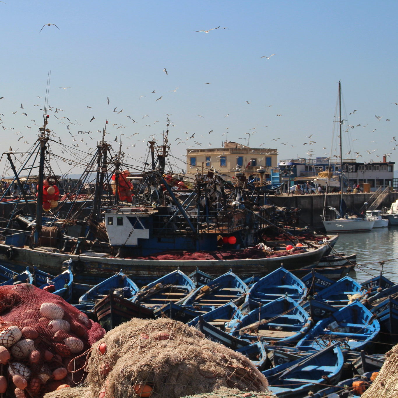 Essaouira's Old Fishing Port