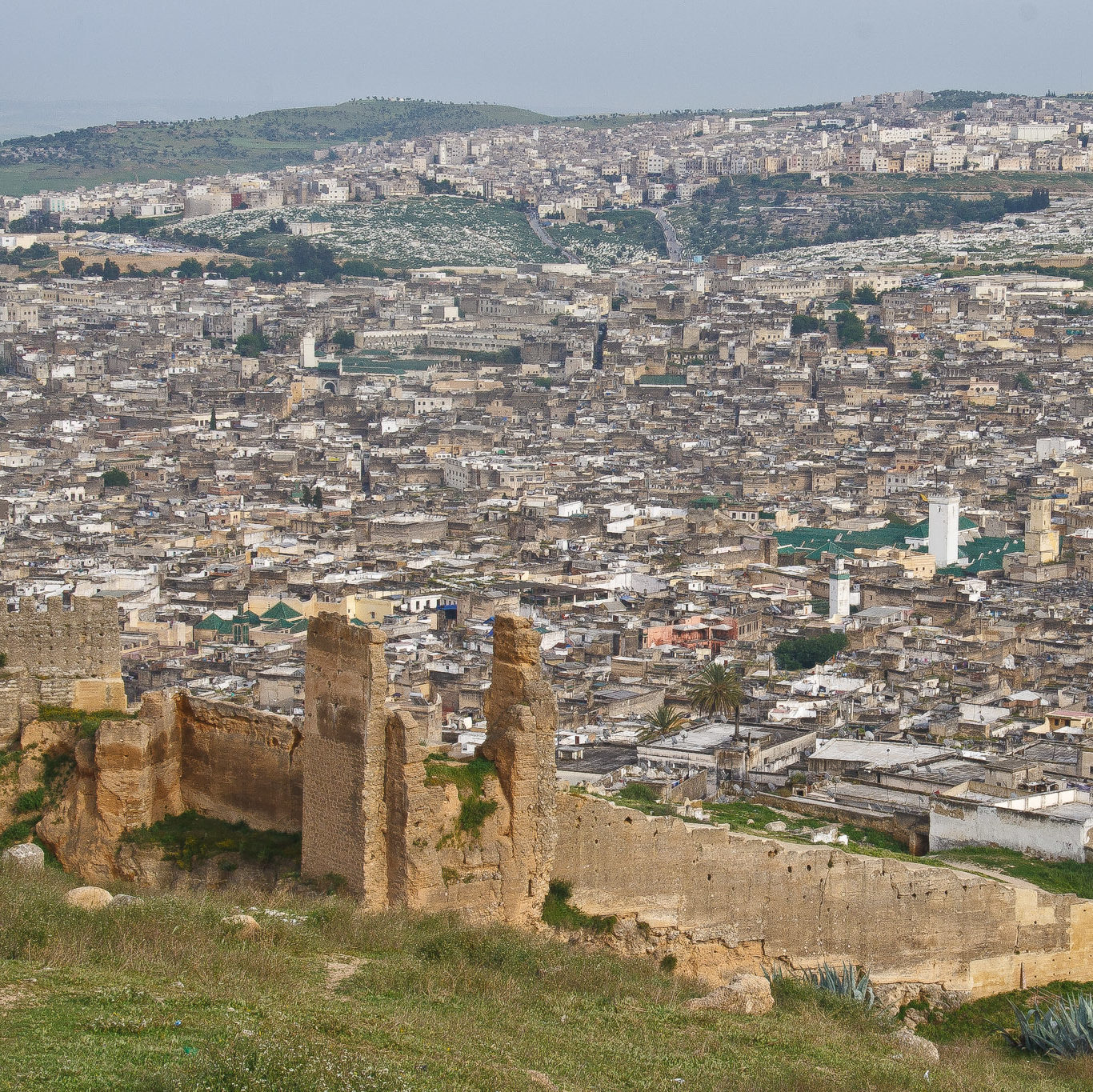 Merenid Tombs and view of Fez
