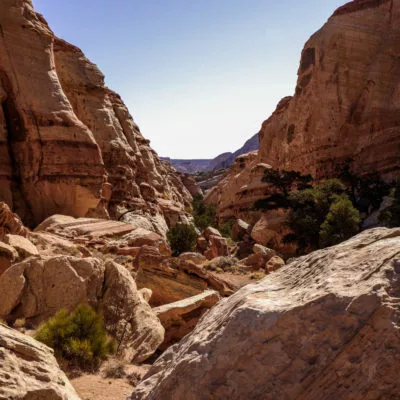 The Ultimate Guide to Hiking Cohab Canyon in Capitol Reef NP