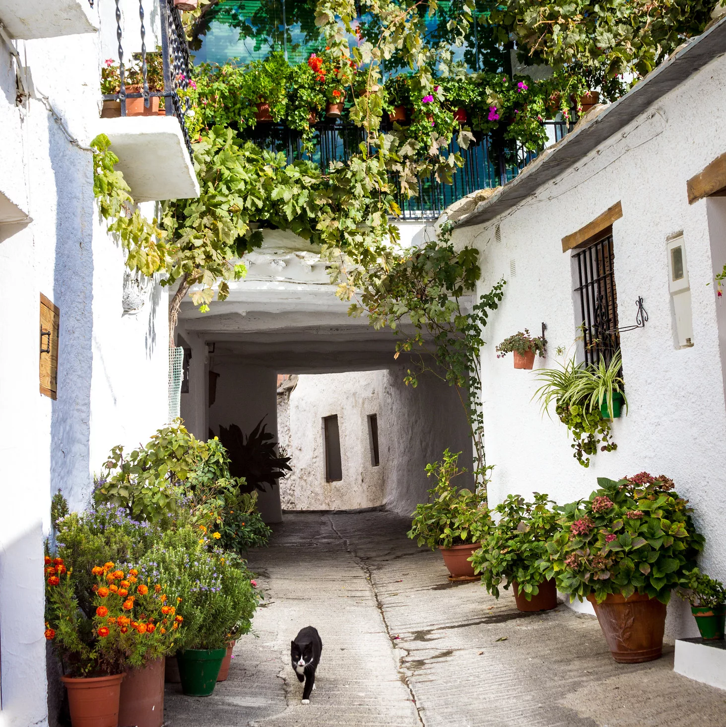 Las Alpujarras, the White Villages of Andalusia
