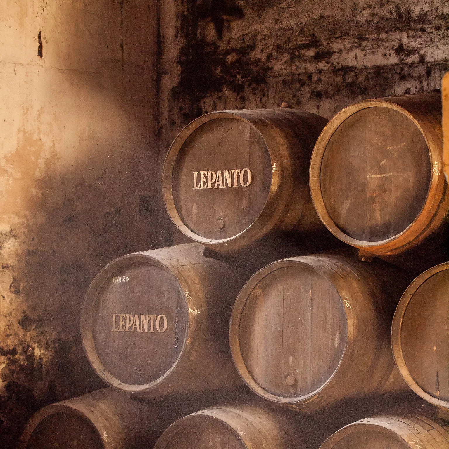 Sherry Wines of Jerez