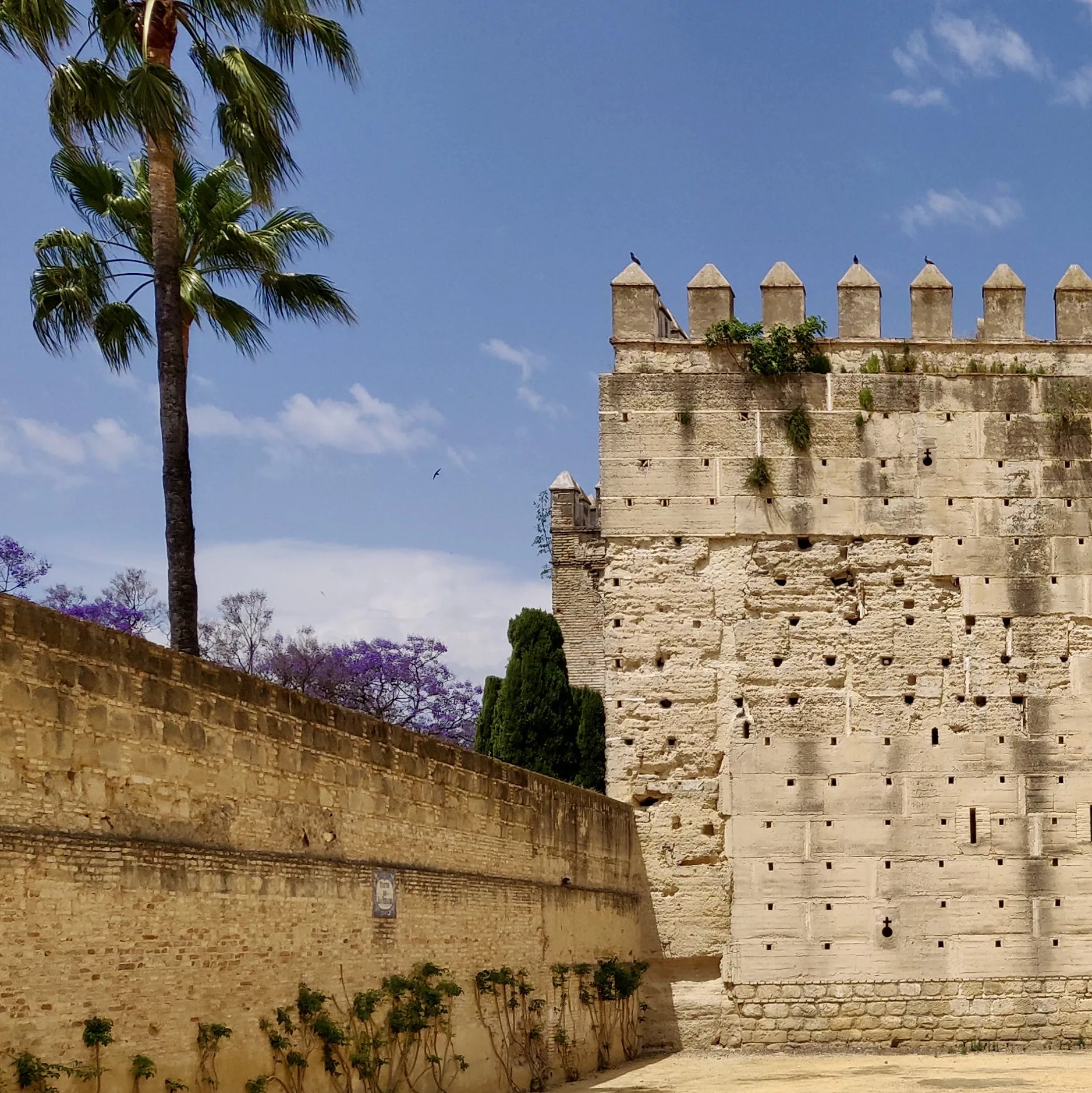 Jerez de la Frontera Alcazar Fortress