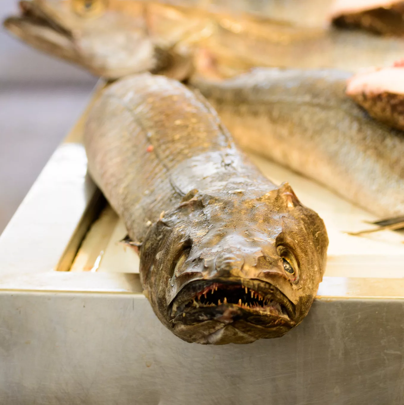 Cádiz Fish Market : Andalusia's Mecca for Seafood Lovers cadiz fish market
