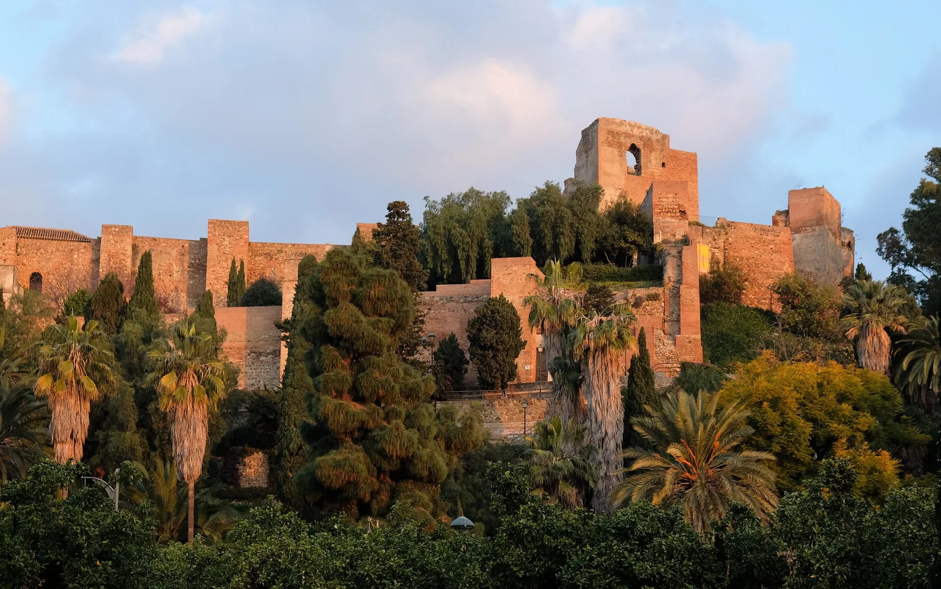 Alcazaba in Málaga among the palm tress (with pictures and tips!)