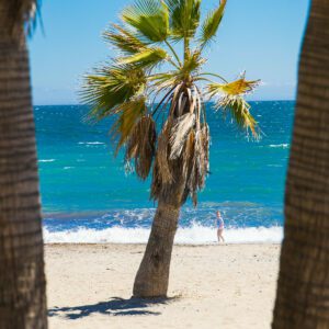 Nerja or Marbella – Where To Go